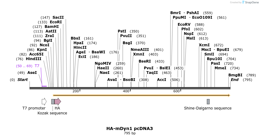 46339_map
