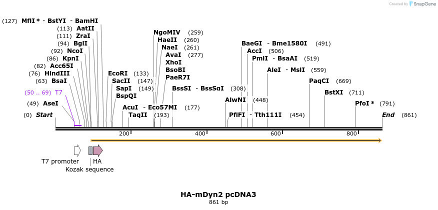 46340_map