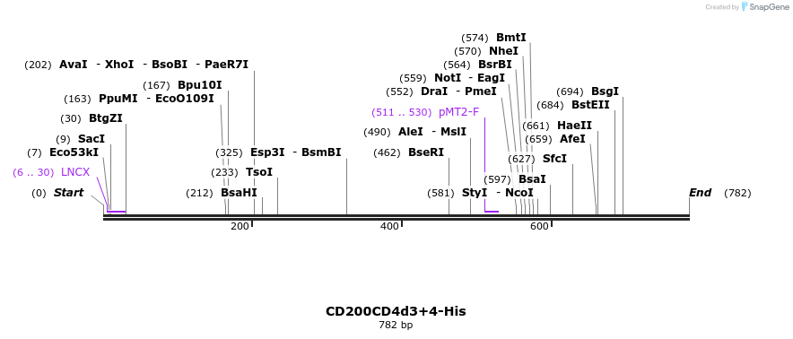 46349_map