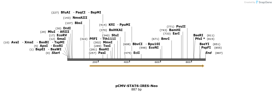 46354_map