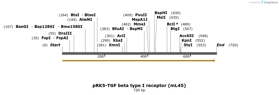 46356_map