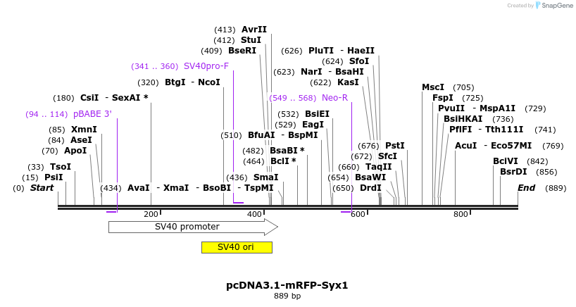 46357_map