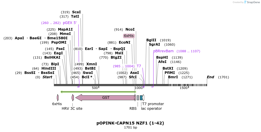 463592_map