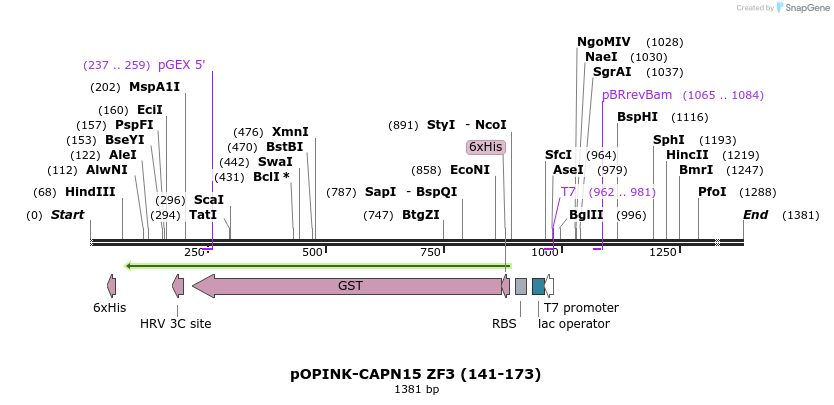 463595_map