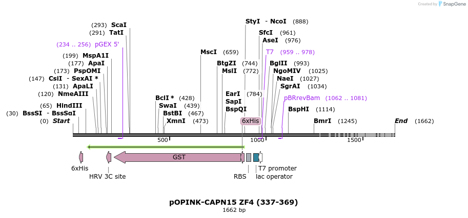 463600_map