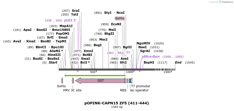 463601_map