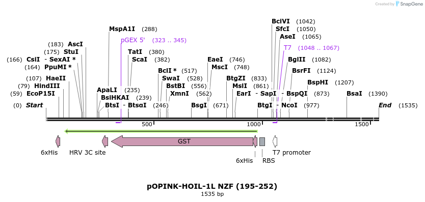 463602_map