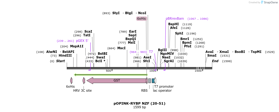 463604_map