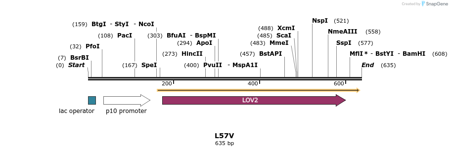 46378_map