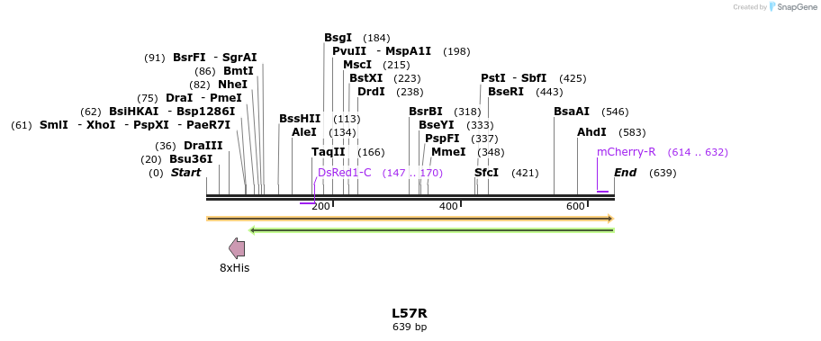 46379_map