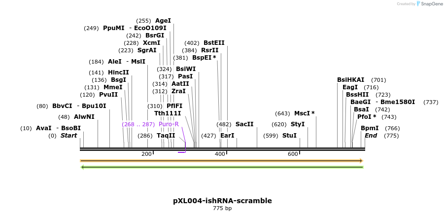 46383_map