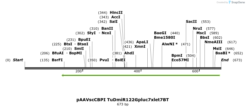 46385_map