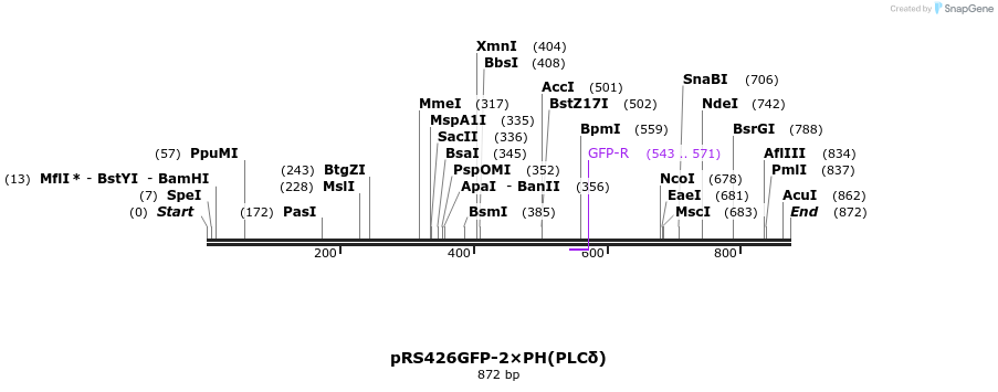 46389_map