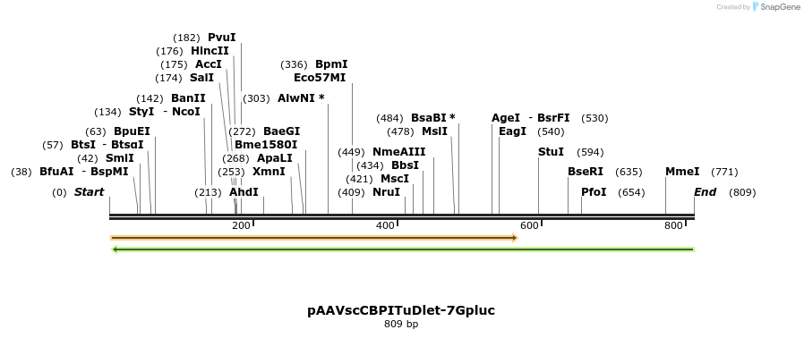 46397_map
