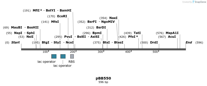 46404_map