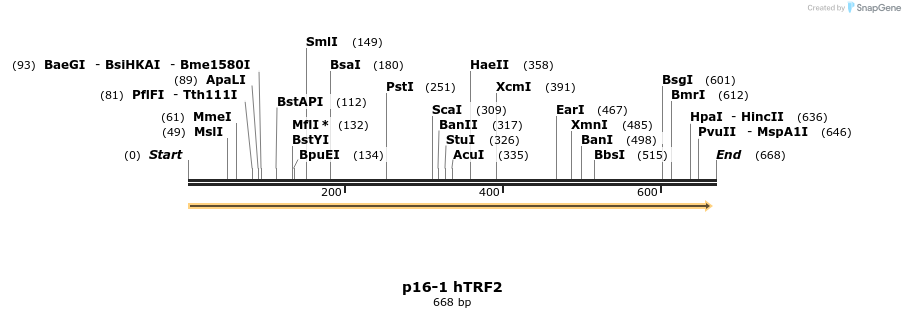 46405_map