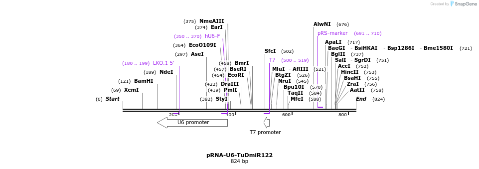46408_map