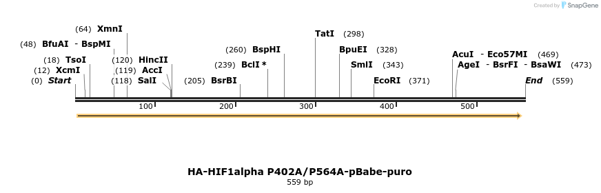 46412_map