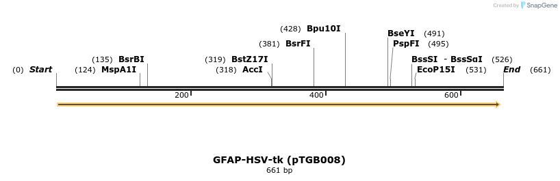 46413_map