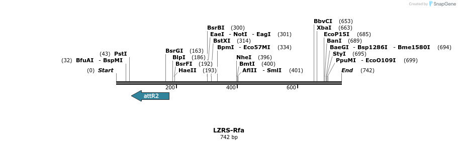 46417_map