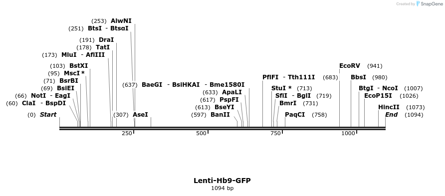 46418_map