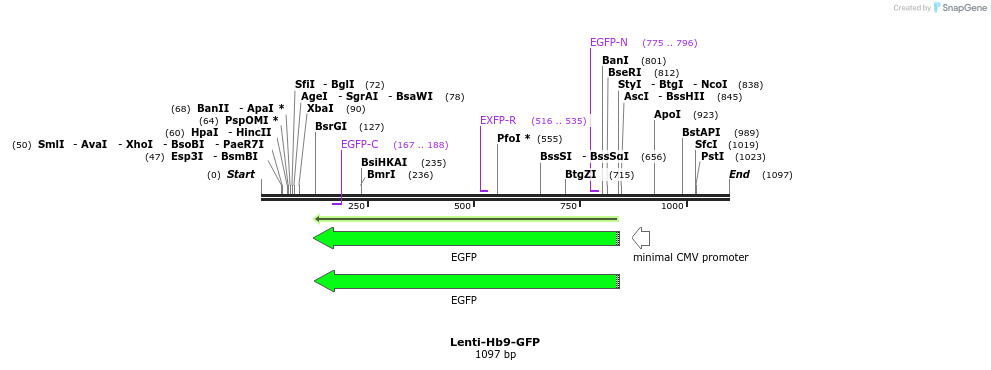 46419_map