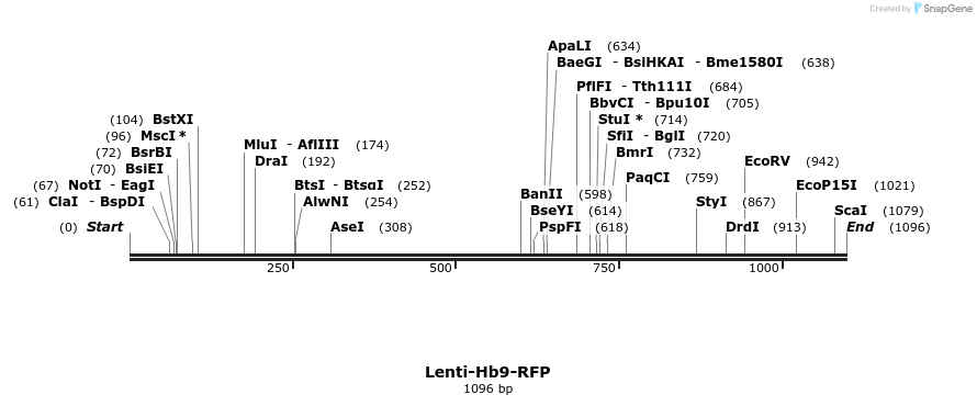 46420_map