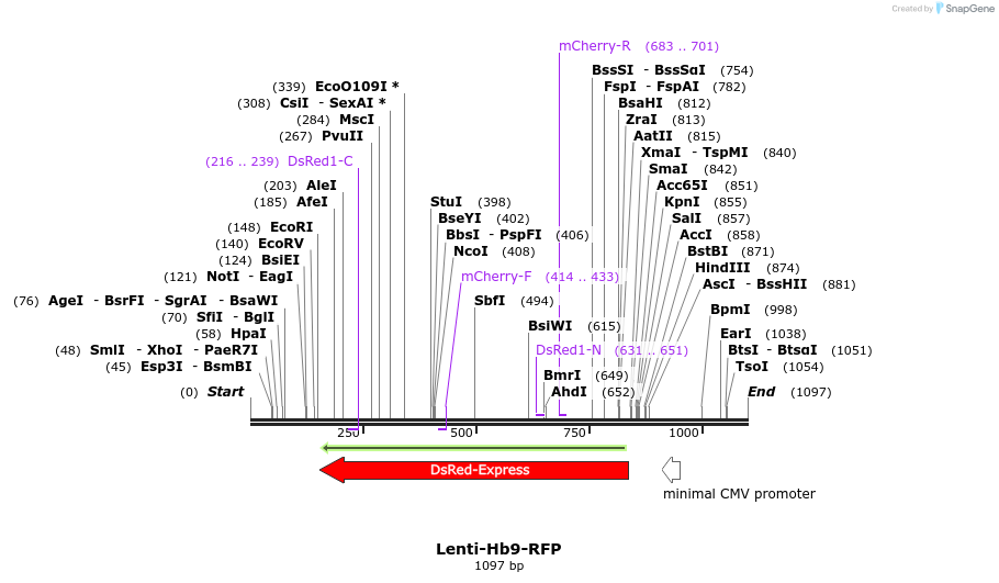 46421_map
