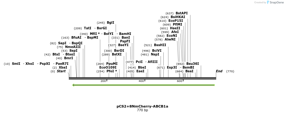 46424_map