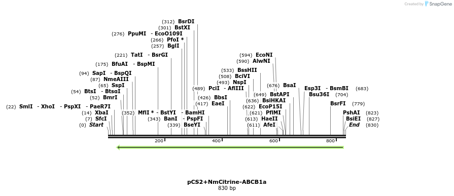 46425_map