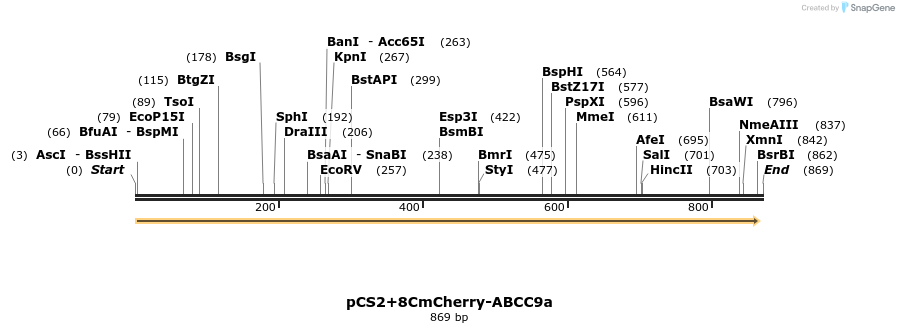 46436_map