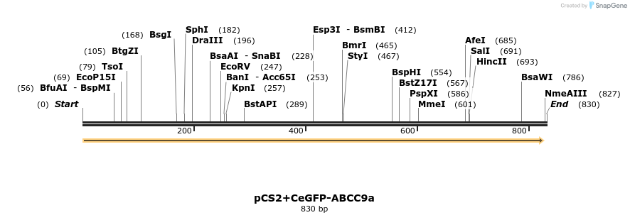 46437_map