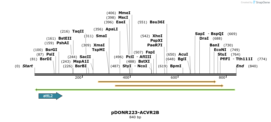 46452_map