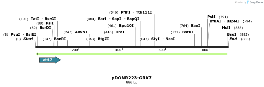 46453_map
