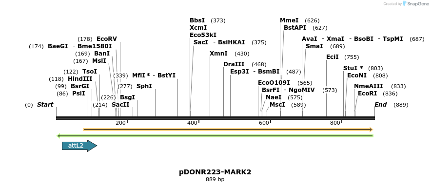46455_map