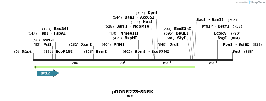46456_map