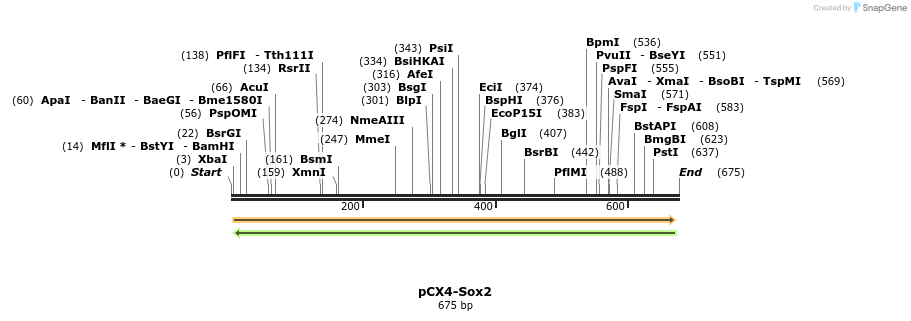 46461_map