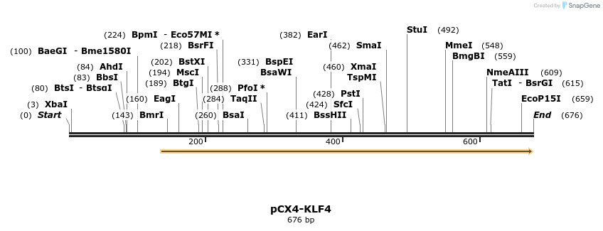 46464_map