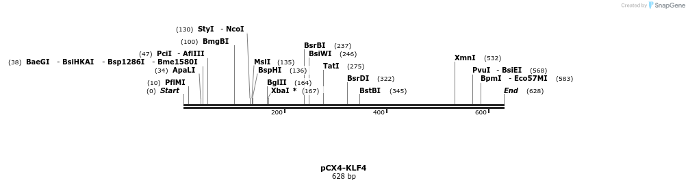 46465_map