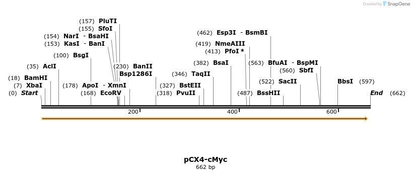 46466_map