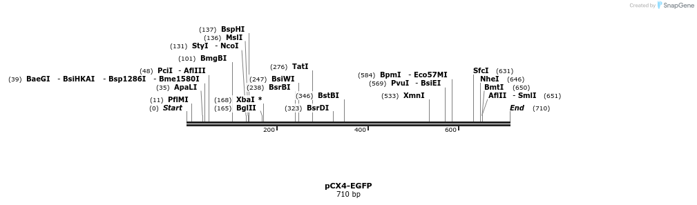 46469_map