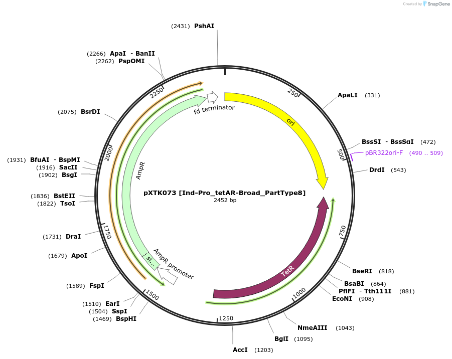 229310-plasmid-map-sequence-id-464699
