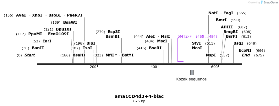 46475_map