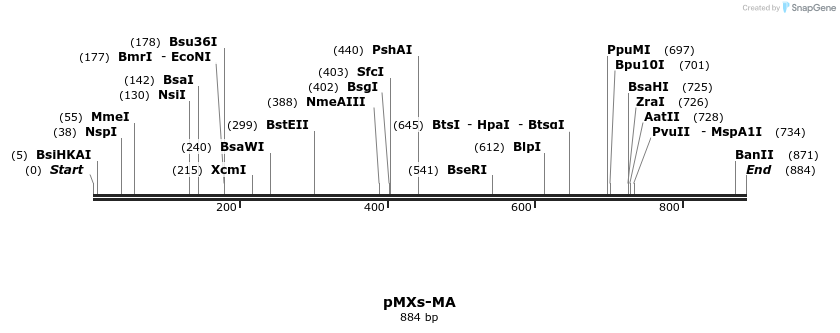 46479_map