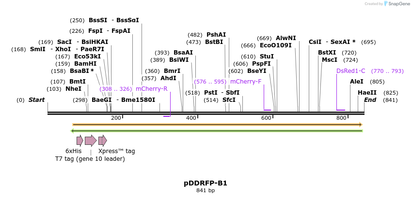 46483_map