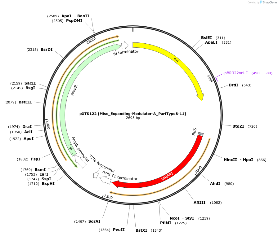 229359-plasmid-map-sequence-id-464842