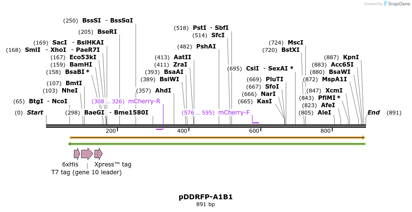 46485_map