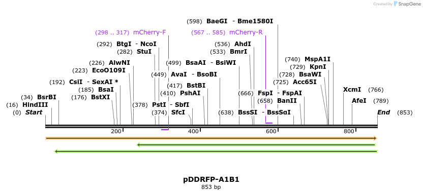 46487_map