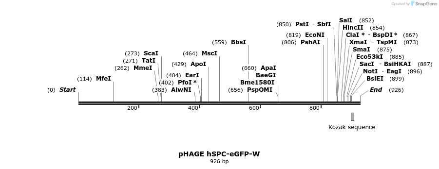 46497_map