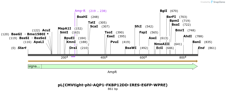 464975_map